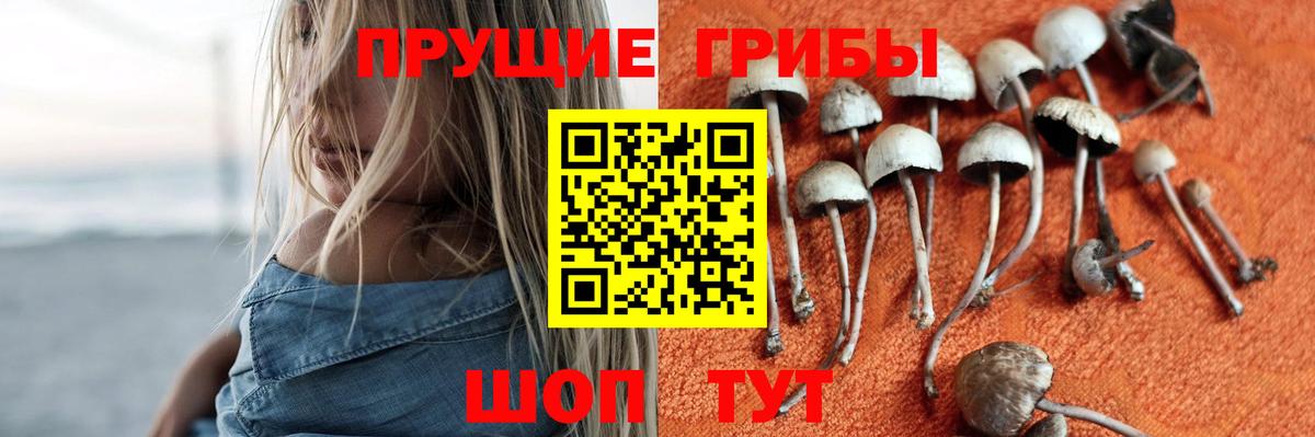 Галлюциногенные грибы Magic Shrooms Назрань