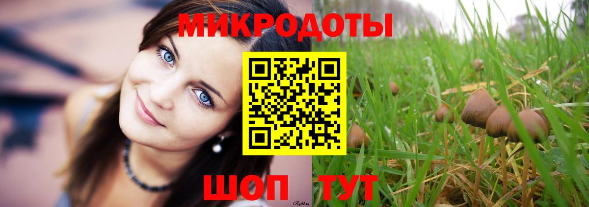 Псилоцибиновые грибы мицелий  Вход с VPN  Галлюциногенные грибы ЛСД  Назрань 